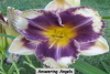 no image available at present.jpg 